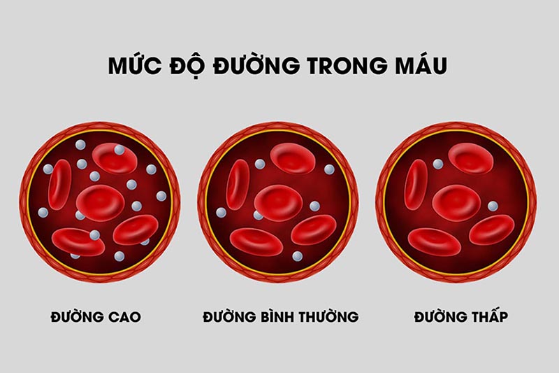 Cỏ lúa mì có tác dụng gì đối với sức khoẻ con người? - Ảnh 4.