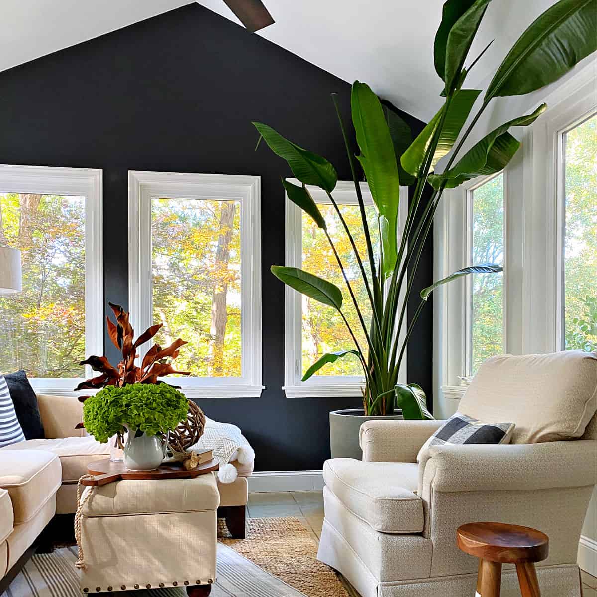 Làm dịu cái nóng hè cho ngôi nhà của bạn với những chậu cây cảnh xanh mát  - Ảnh 14.