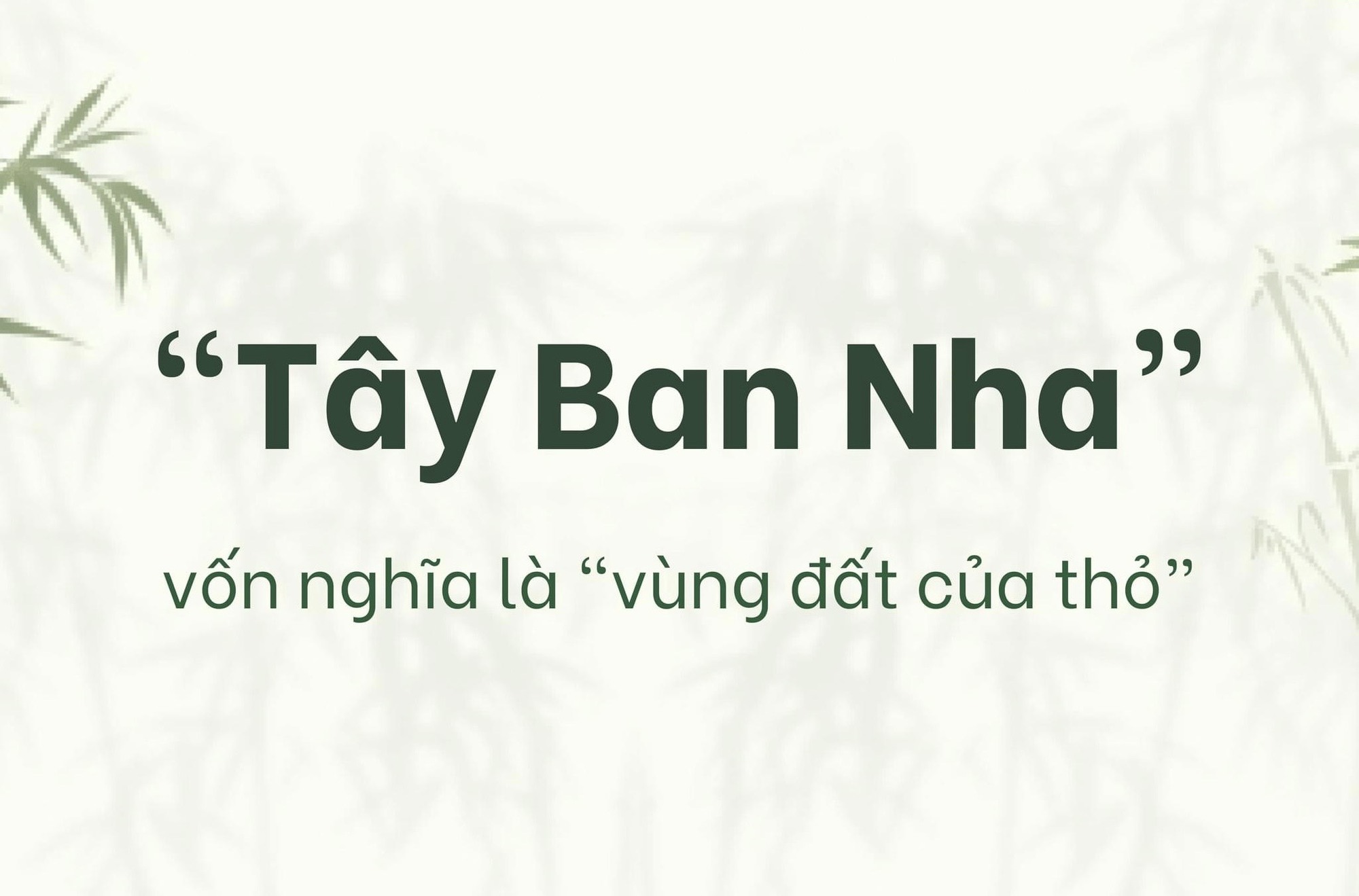 Câu đố Tiếng Việt: &quot;Vì sao lại có tên gọi TÂY BAN NHA?&quot; – Nghe xong câu trả lời &quot;mắt chữ O mồm chữ A&quot; bởi quá kinh ngạc! - Ảnh 1.