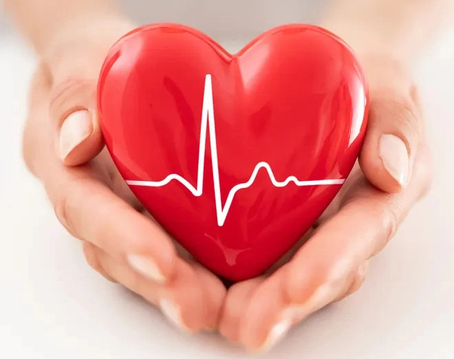 Loại thực phẩm giàu chất chống oxy hóa, bảo vệ tim mạch, có thể giảm 20% nguy cơ tử vong - Ảnh 2.
