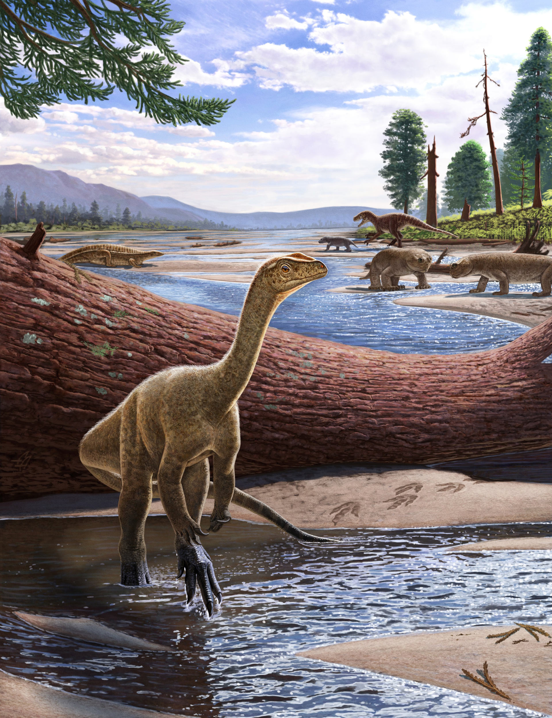 Hóa thạch khủng long hoàn chỉnh và lâu đời nhất của Châu Phi được tìm thấy ở Zimbabwe!  - Ảnh 3.