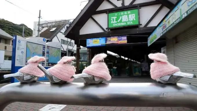 Người phụ nữ đan áo cho chim sắt, biến chúng thành biểu tượng thu hút du lịch khắp Nhật Bản  - Ảnh 7.