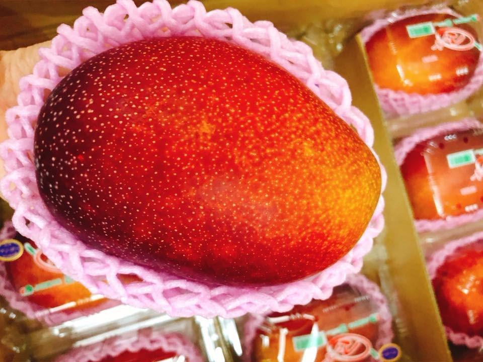 10 loại trái cây đến từ Nhật Bản đắt bậc nhất thế giới, có loại giá tới chục nghìn USD - Ảnh 8.
