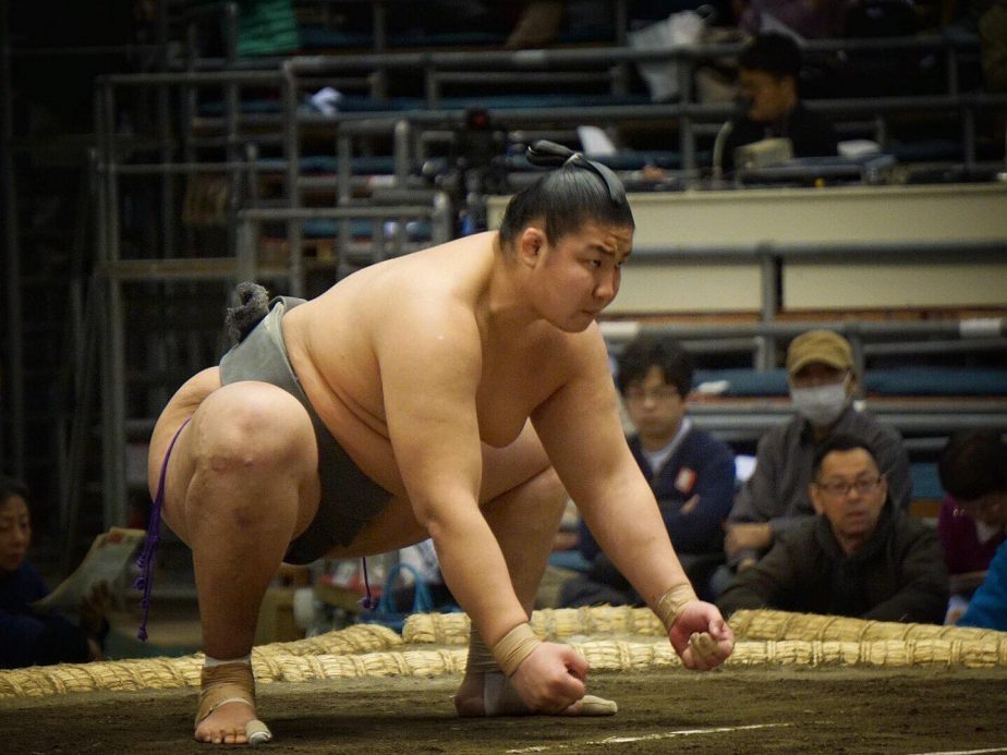 Chế độ ăn gấp 4 lần người thường của các võ sĩ sumo Nhật Bản - Ảnh 1.