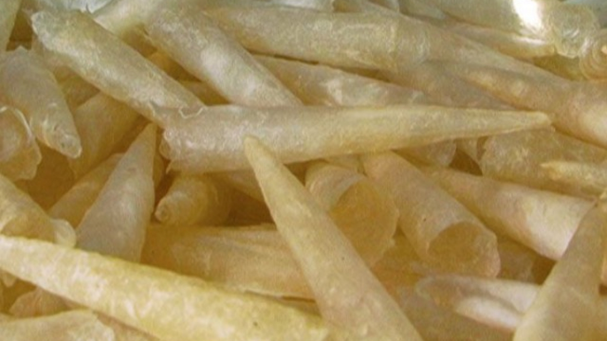 Bong bóng cá - Thượng phẩm giàu collagen trong “bát trân” giá cực “chát”, loại hàng chục triệu/kg, loại tỷ đồng/kg nhưng vẫn hết hàng trên bàn nhậu - Ảnh 4.