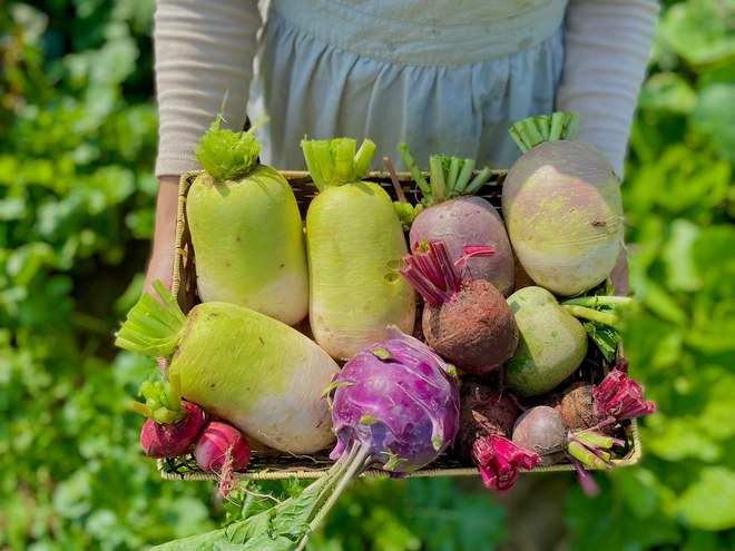 Lần đầu trồng rau nản muốn bỏ, vườn của bà mẹ Quảng Ninh hiện giờ khiến bao người mê - Ảnh 4.