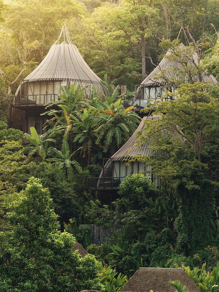 Độc đáo resort tổ chim nằm lơ lửng giữa những tán cây xanh ở Thái Lan, thơ mộng như ngôi nhà của các chú lùn Hobbit - Ảnh 1.