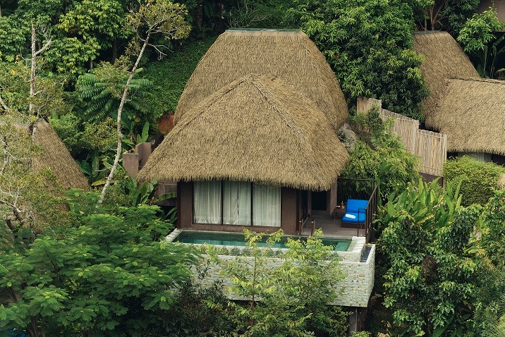 Độc đáo Resort tổ chim nằm lơ lửng giữa những tán cây xanh ở Thái Lan, thơ mộng như ngôi nhà của các chú lùn Hobbit - Ảnh 4.