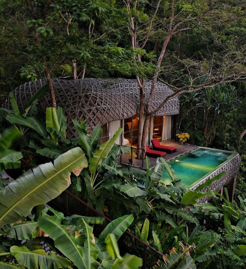 Độc đáo Resort tổ chim nằm lơ lửng giữa những tán cây xanh ở Thái Lan, thơ mộng như ngôi nhà của các chú lùn Hobbit - Ảnh 2.