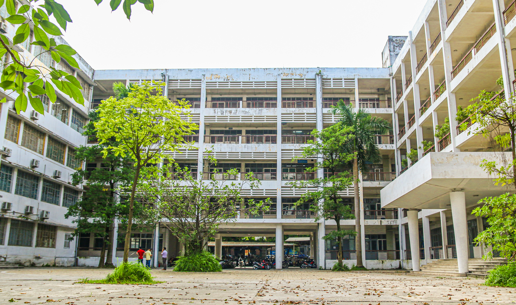 Trường rộng nhất trung tâm Hà Nội, sinh viên phải tra bản đồ để tìm đường - Ảnh 2.
