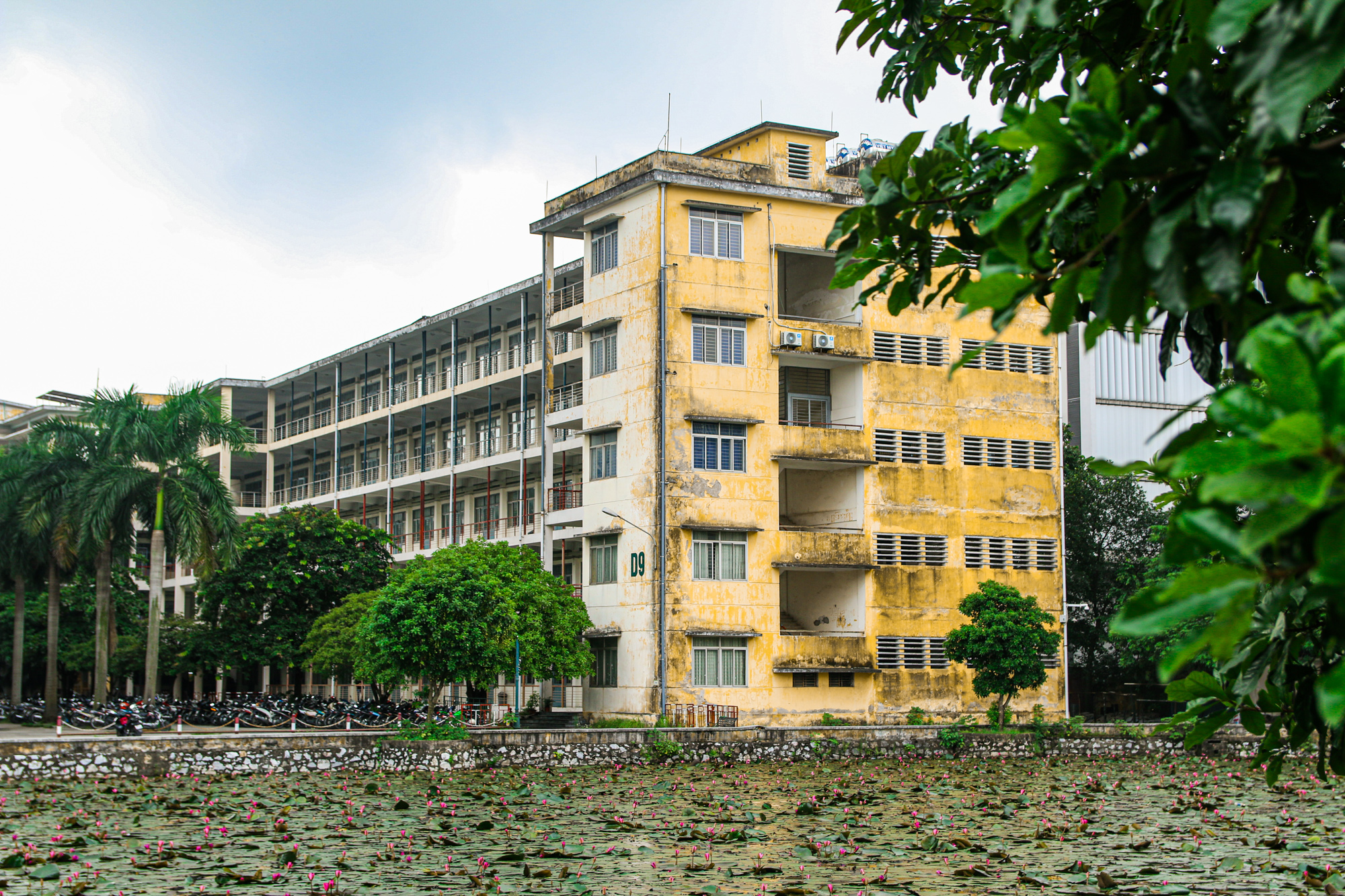 Trường rộng nhất trung tâm Hà Nội, sinh viên phải tra bản đồ để tìm đường - Ảnh 6.