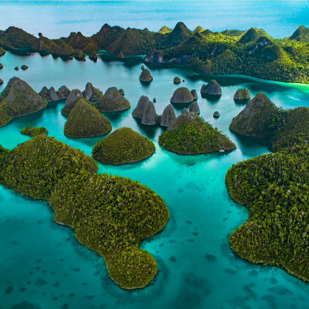 Quần đảo có một không hai của Đông Nam Á, vươn lên từ nạn đánh cá thành điểm lặn số 1 - Ảnh 5.