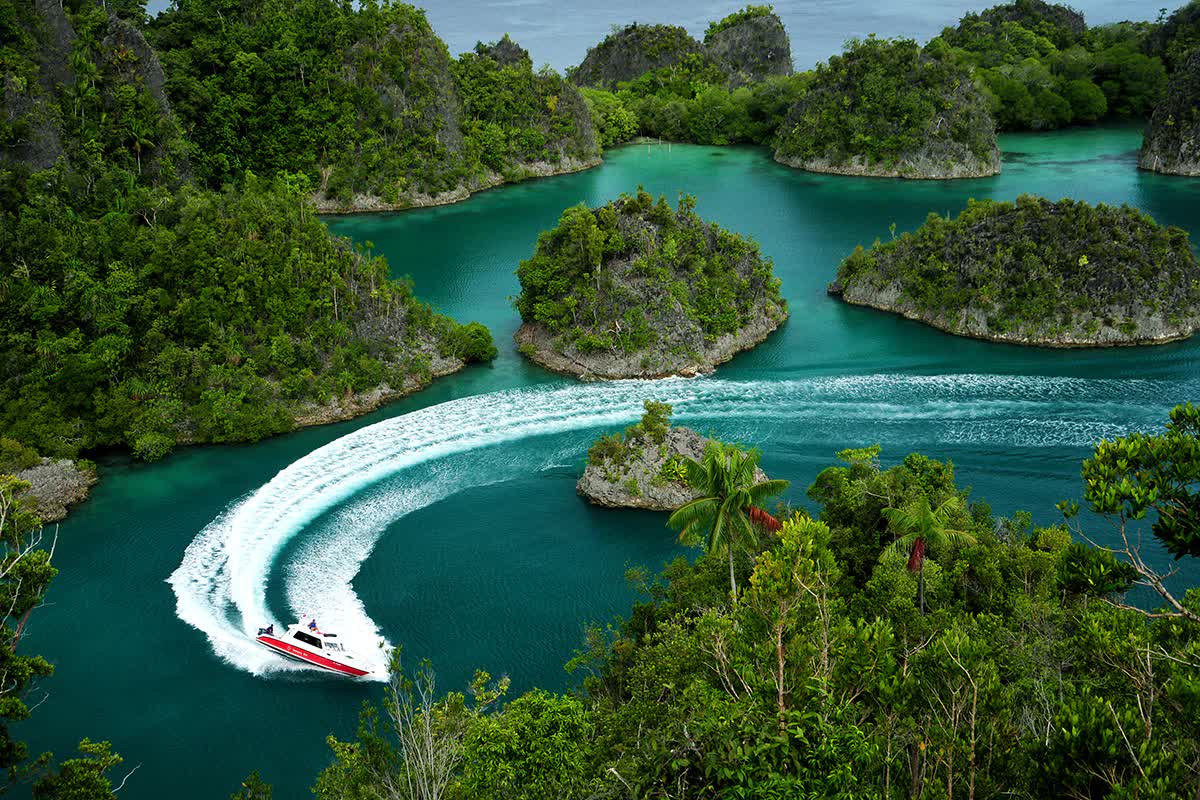 Quần đảo có một không hai của Đông Nam Á, vươn lên từ nạn đánh cá thành điểm lặn số 1 - Ảnh 6.