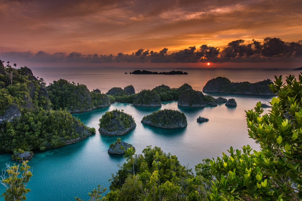 Quần đảo có 1-0-2 của Đông Nam Á: 'Thiên đường duy nhất còn sót lại trên Trái Đất' - Ảnh 16.