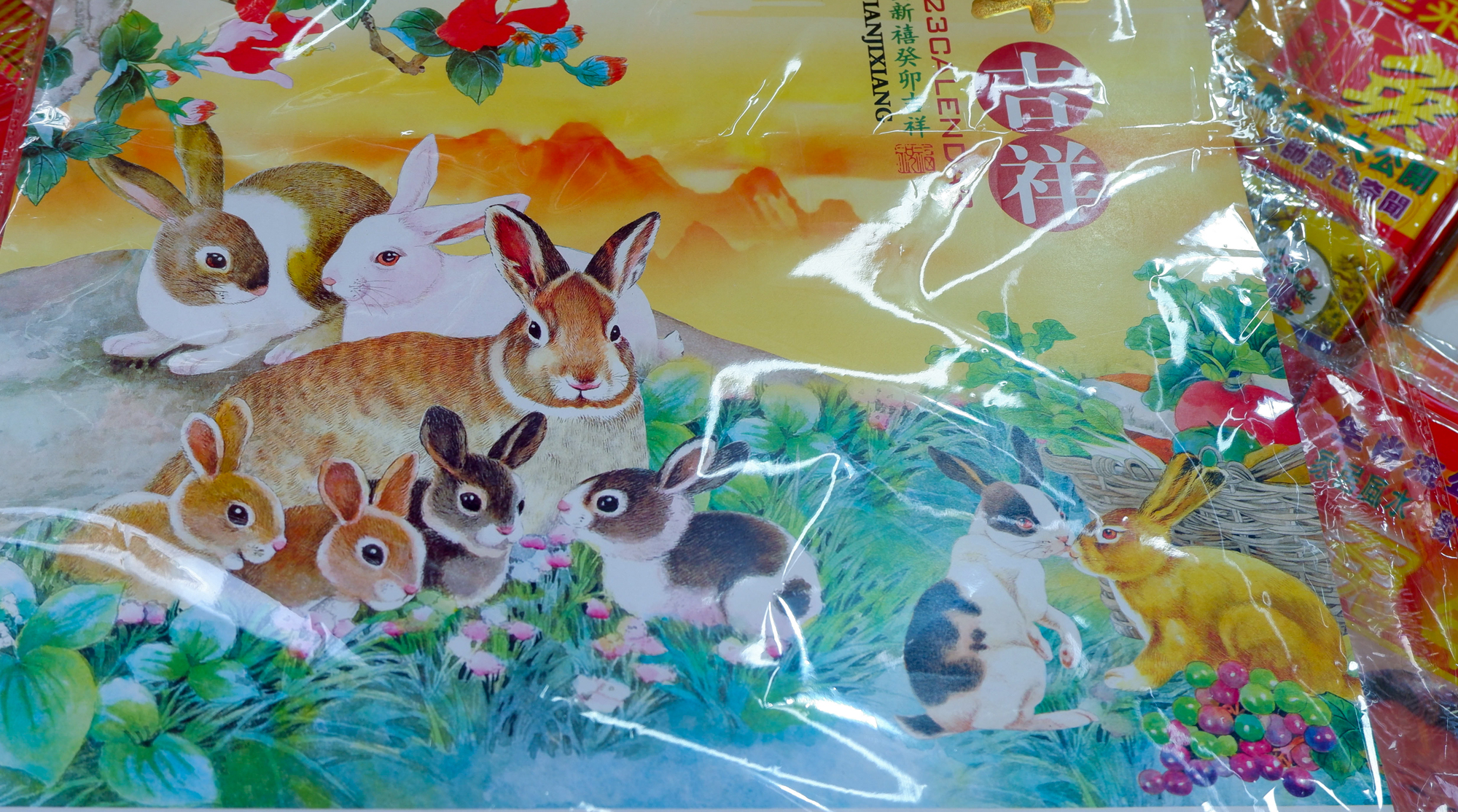 Độc đáo hình ảnh con thỏ trong chợ Tết người Hoa ở TP.HCM  - Ảnh 5.