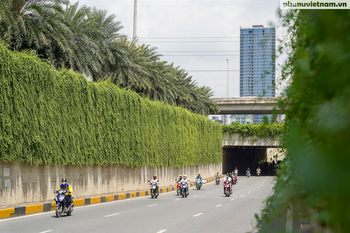 Các vách tường phủ kín cây xanh kéo dài hơn trăm mét ở cửa ngõ Hà Nội - Ảnh 6.