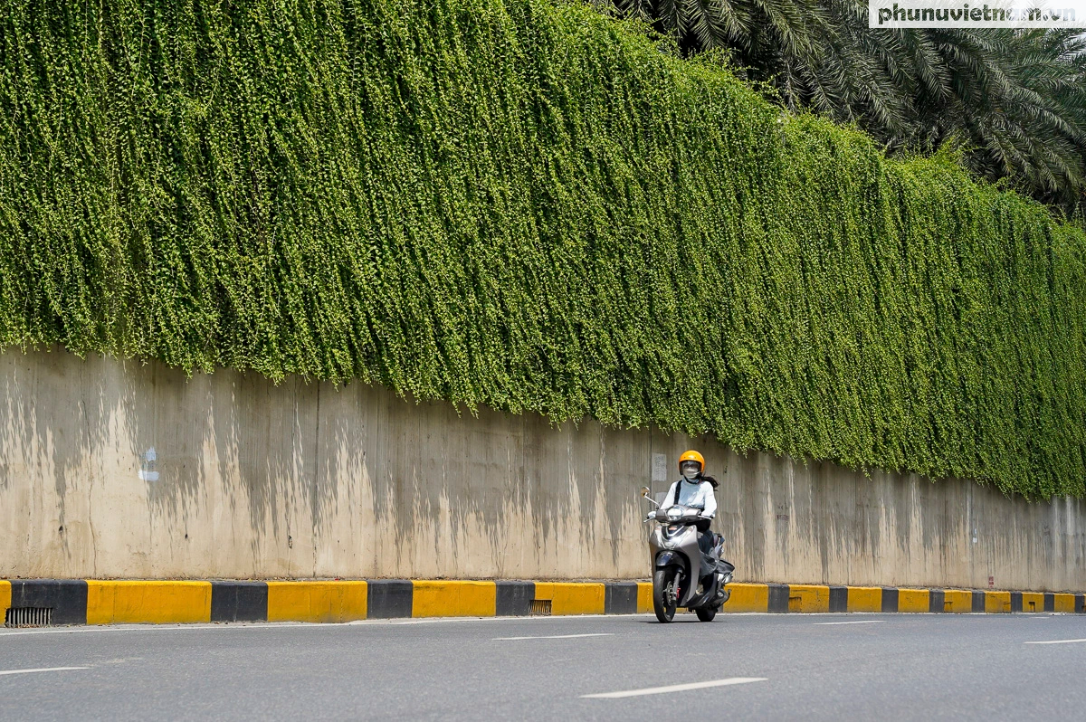 Các vách tường phủ kín cây xanh kéo dài hơn trăm mét ở cửa ngõ Hà Nội - Ảnh 10.