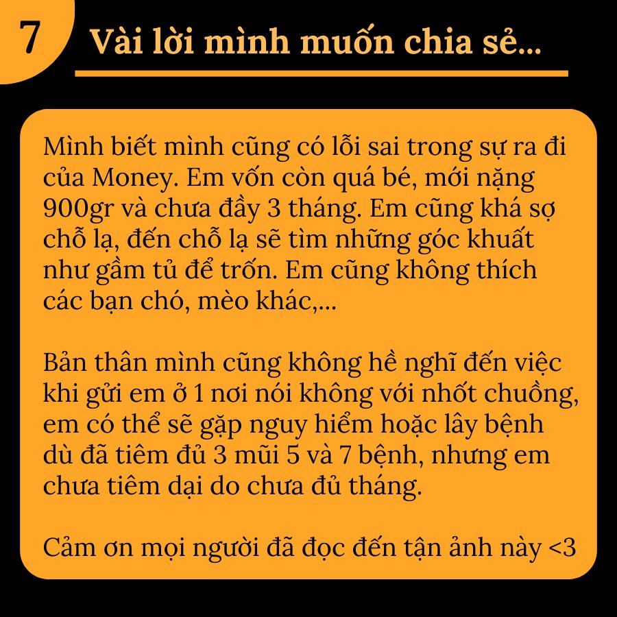 Cô gái bức xúc tố nơi trông giữ thú cưng tắc trách làm chết cún khi mới gửi 1 ngày, chủ cơ sở nói gì? - Ảnh 1.