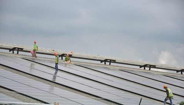 Lắp đặt hệ thống pin mặt trời sản xuất năng lượng xanh từ mái nhà của trang trại TH.