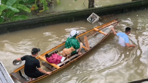 3 triệu người xem clip giải cứu 2 chú cún đang lạnh cóng trong mưa lụt ở Huế, cái kết khiến netizen vỡ òa- Ảnh 5.