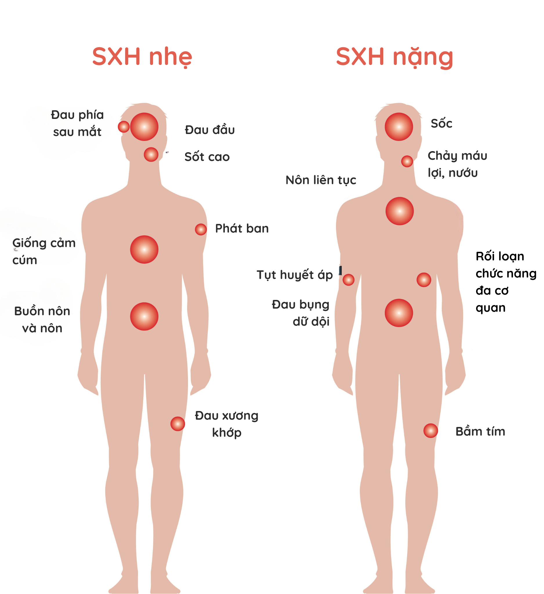 6. Khi Nào Cần Tìm Kiếm Sự Giúp Đỡ Y Tế