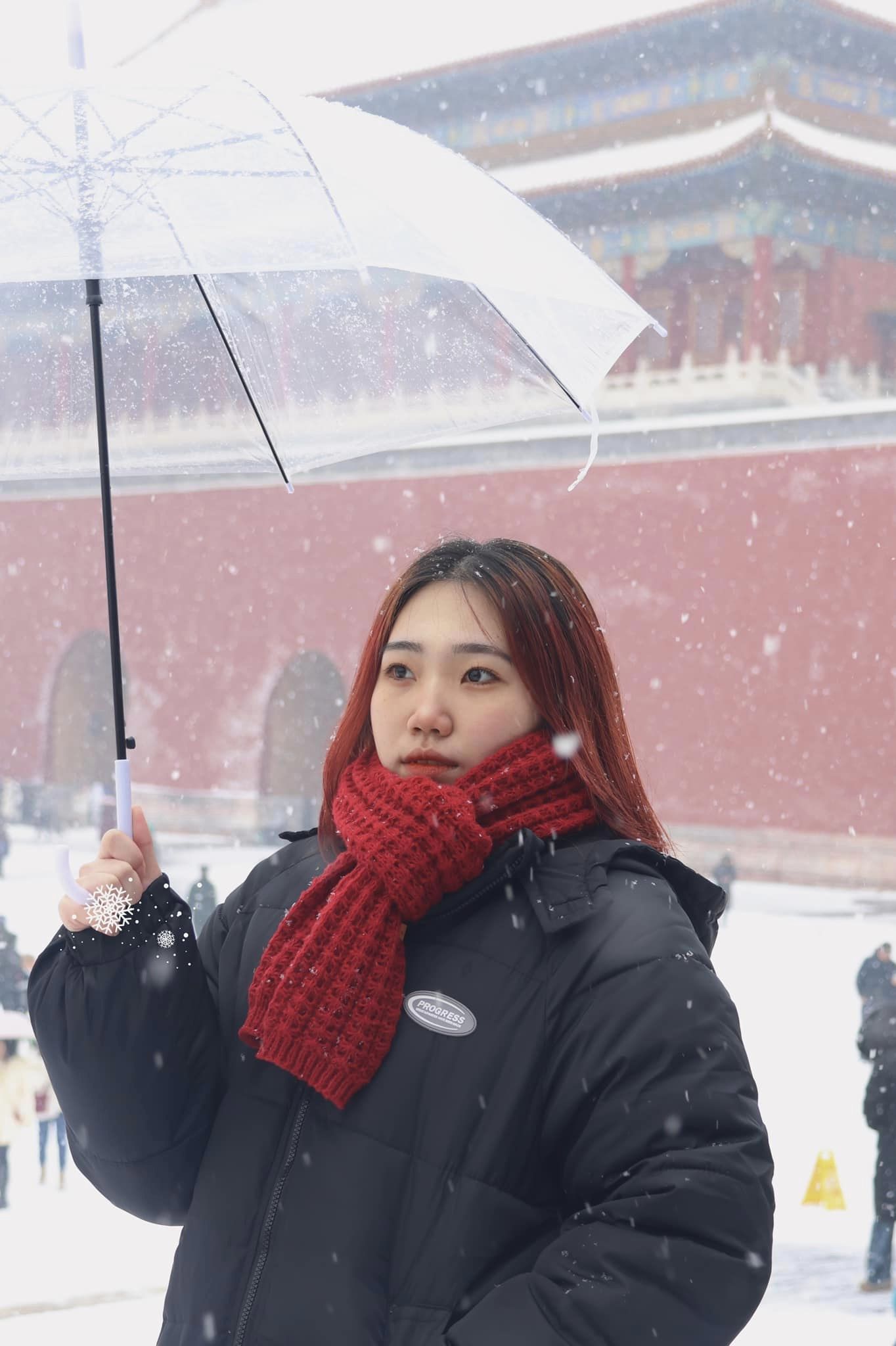 Du khách Việt may mắn được "săn" tuyết rơi đầu mùa đẹp như phim ở Tử Cấm Thành (Trung Quốc)- Ảnh 9.
