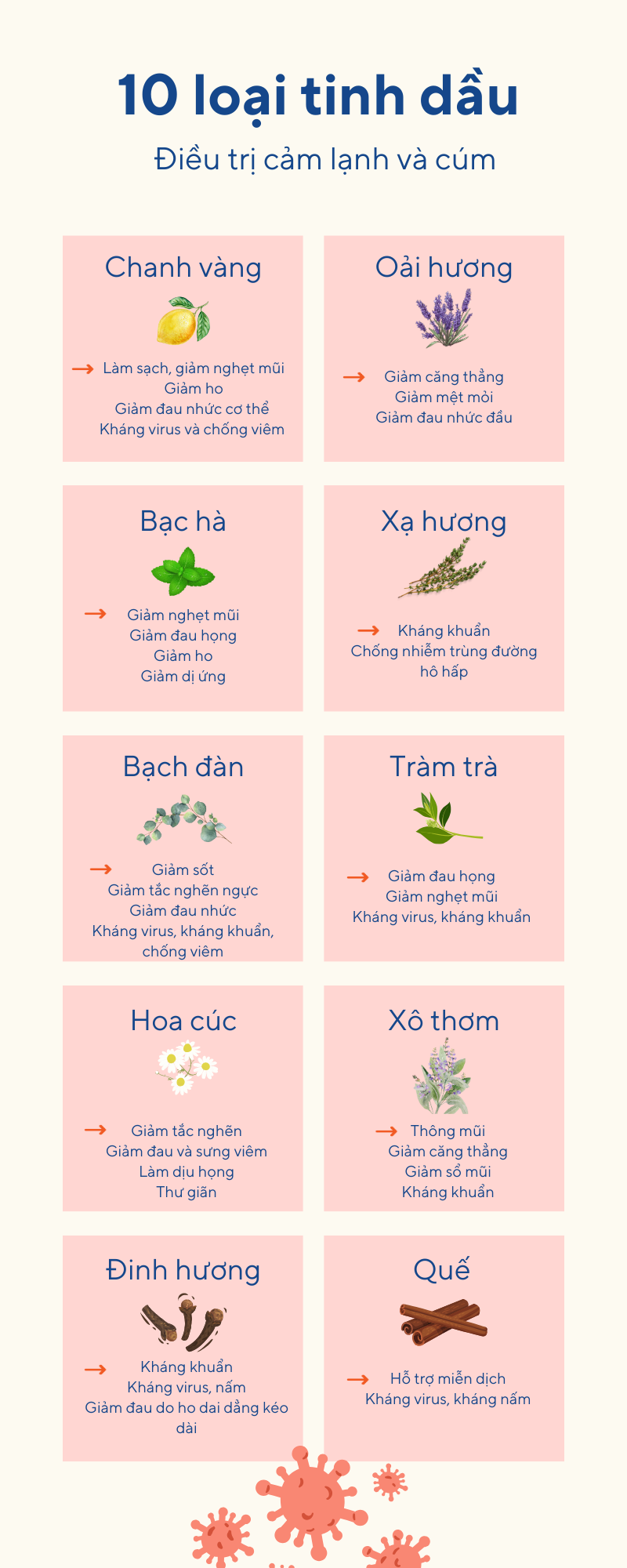 Tinh dầu trong điều trị cảm lạnh và cú, mùa đông- Ảnh 1.