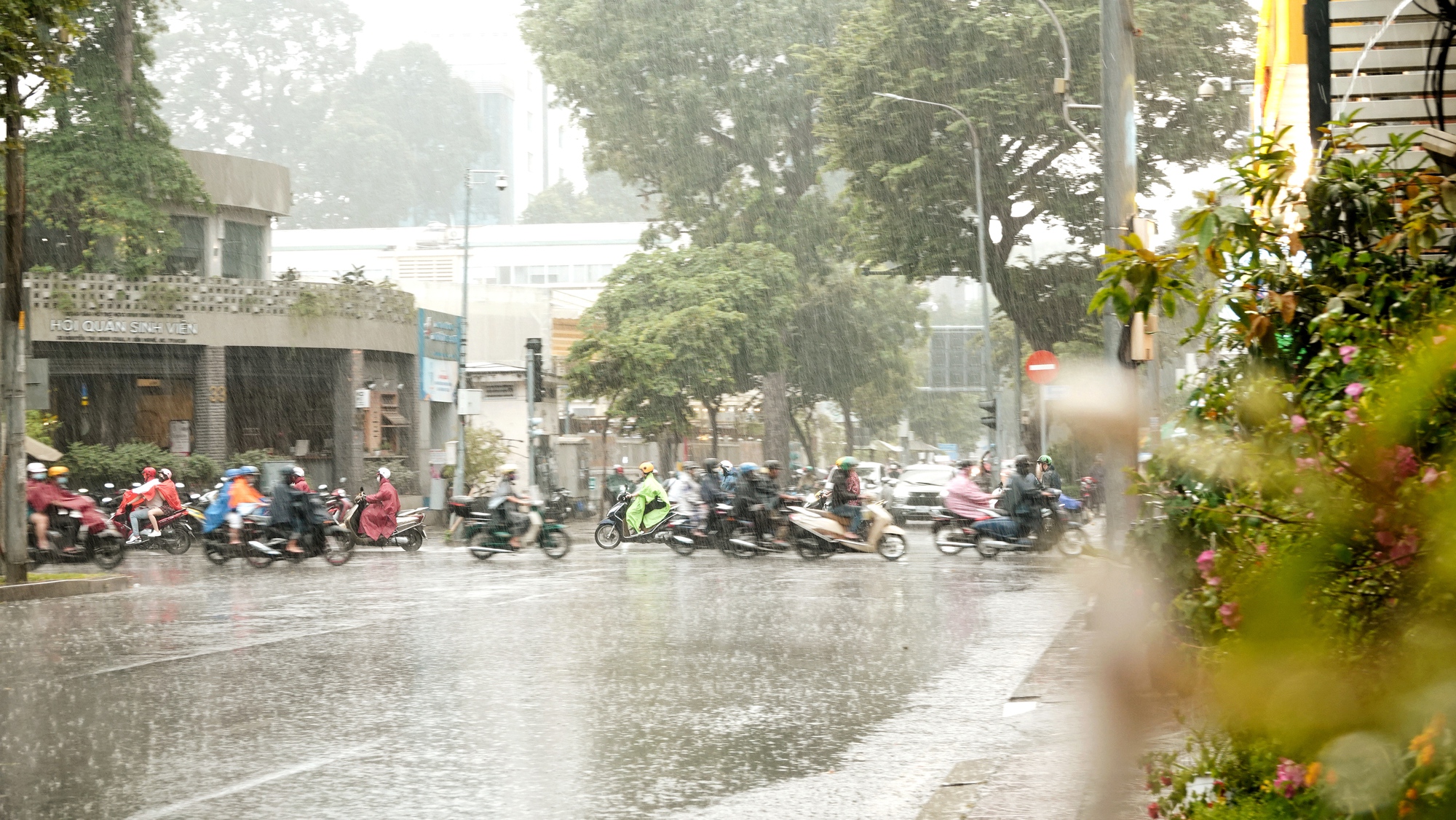 Nhiều người đi sớm giữ chỗ xem pháo hoa, hứng trọn cơn mưa ngay phố đi bộ Nguyễn Huệ chiều cuối năm- Ảnh 5.