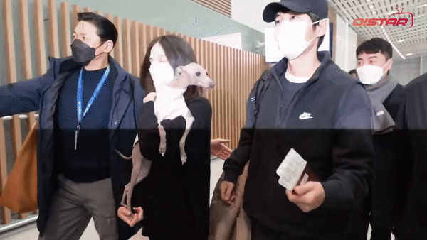Song Joong Ki và vợ người Anh không rời nhau nửa bước tại sân bay: Cử chỉ anh dành cho bà xã gây sốt - Ảnh 5.