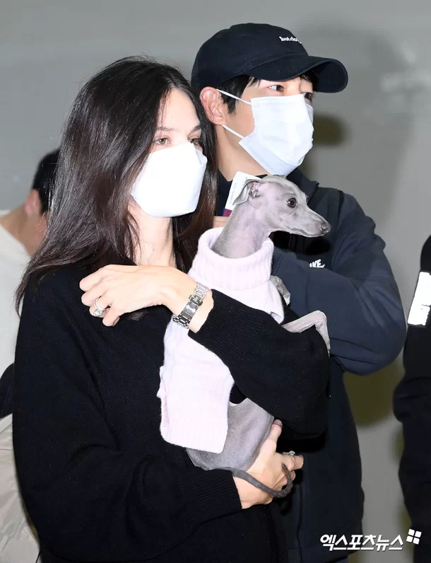 Song Joong Ki và vợ người Anh không rời nhau nửa bước tại sân bay: Cử chỉ anh dành cho bà xã gây sốt - Ảnh 7.