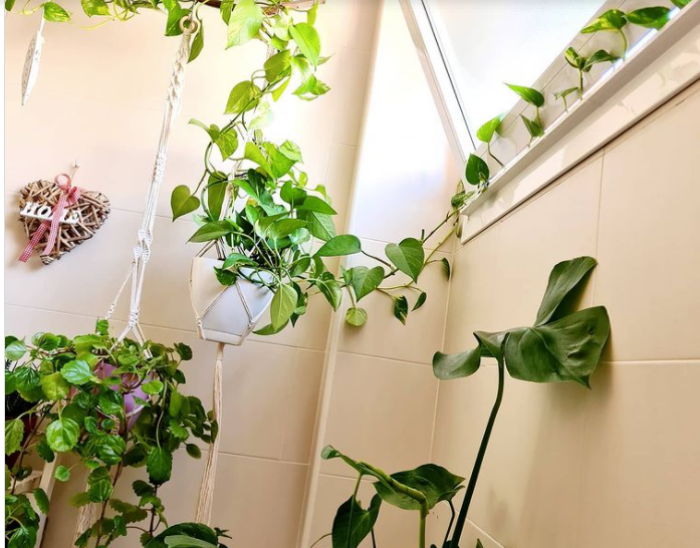 Ý tưởng độc đáo tạo vườn treo xanh tươi đẹp mắt cho phòng tắm nhỏ - Ảnh 8.
