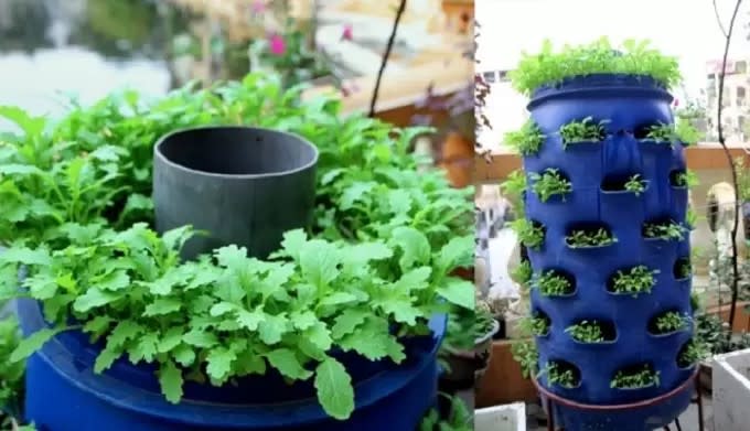4 mô hình trồng rau tại nhà bạn có thể dễ dàng áp dụng - Ảnh 4.