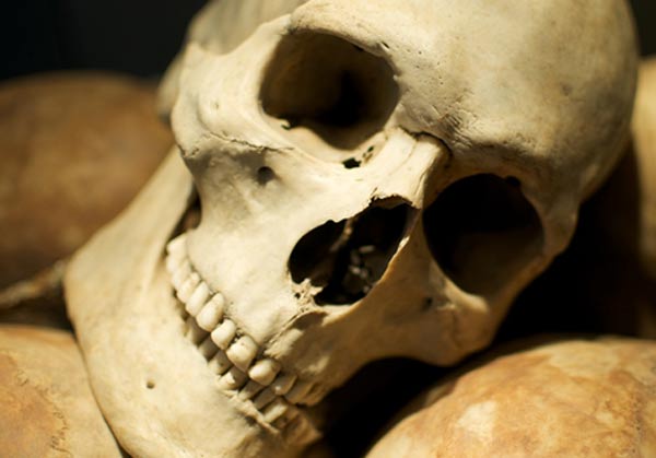 Vì sao người cổ đại thường có hàm răng thẳng, răng khôn mọc chuẩn chỉnh?  - Ảnh 1.