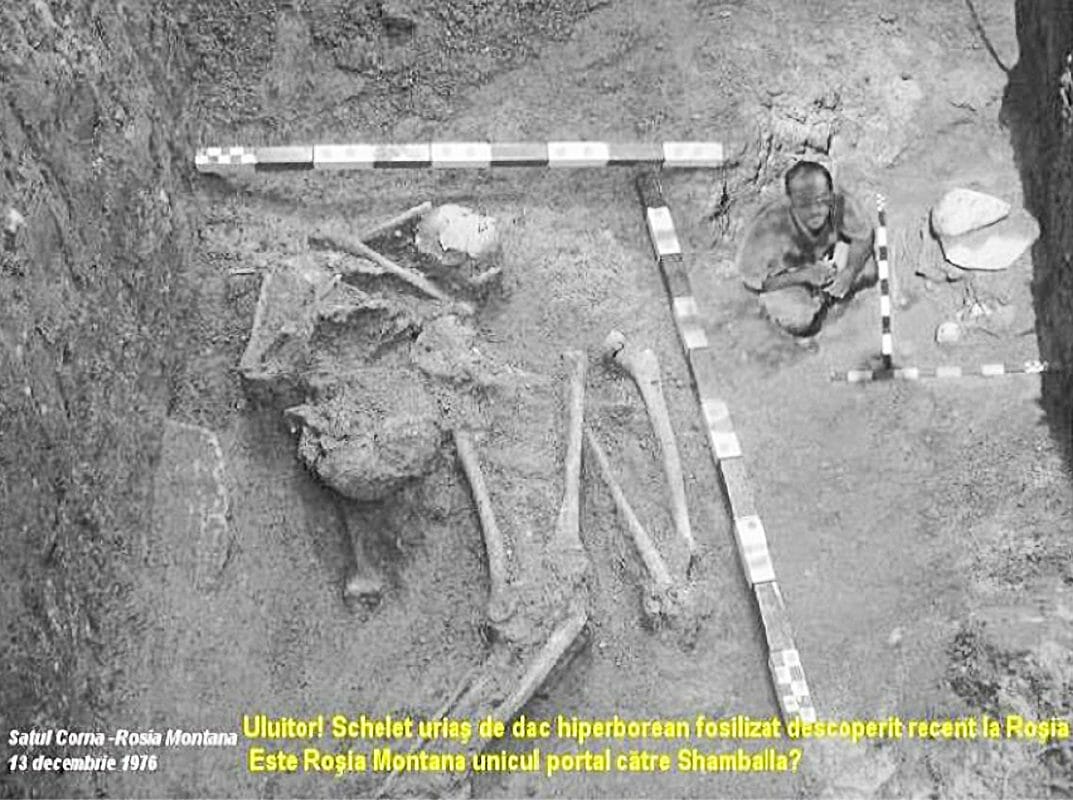 Bí ẩn bộ xương khổng lồ dài 10m được khai quật năm 1976