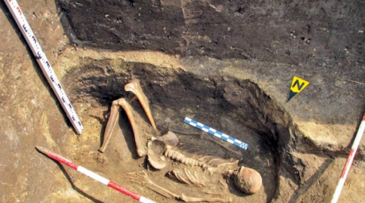 Bí ẩn về bộ xương người khổng lồ dài 10 mét được khai quật vào năm 1976 - Ảnh 2.