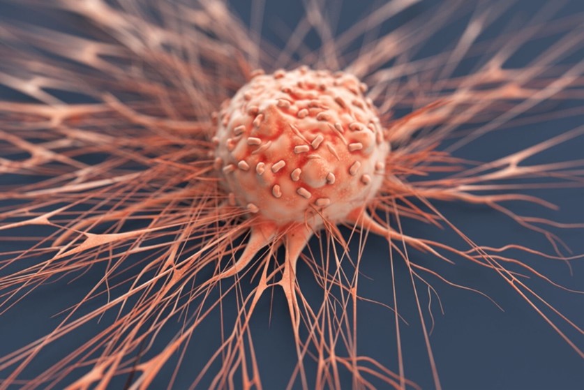 Tiến sĩ người Việt tại Đức: Cơ thể mỗi người đều có tế bào có khả năng biến đổi thành ung thư, nhưng không phải ai cũng bị bệnh - Ảnh 4.