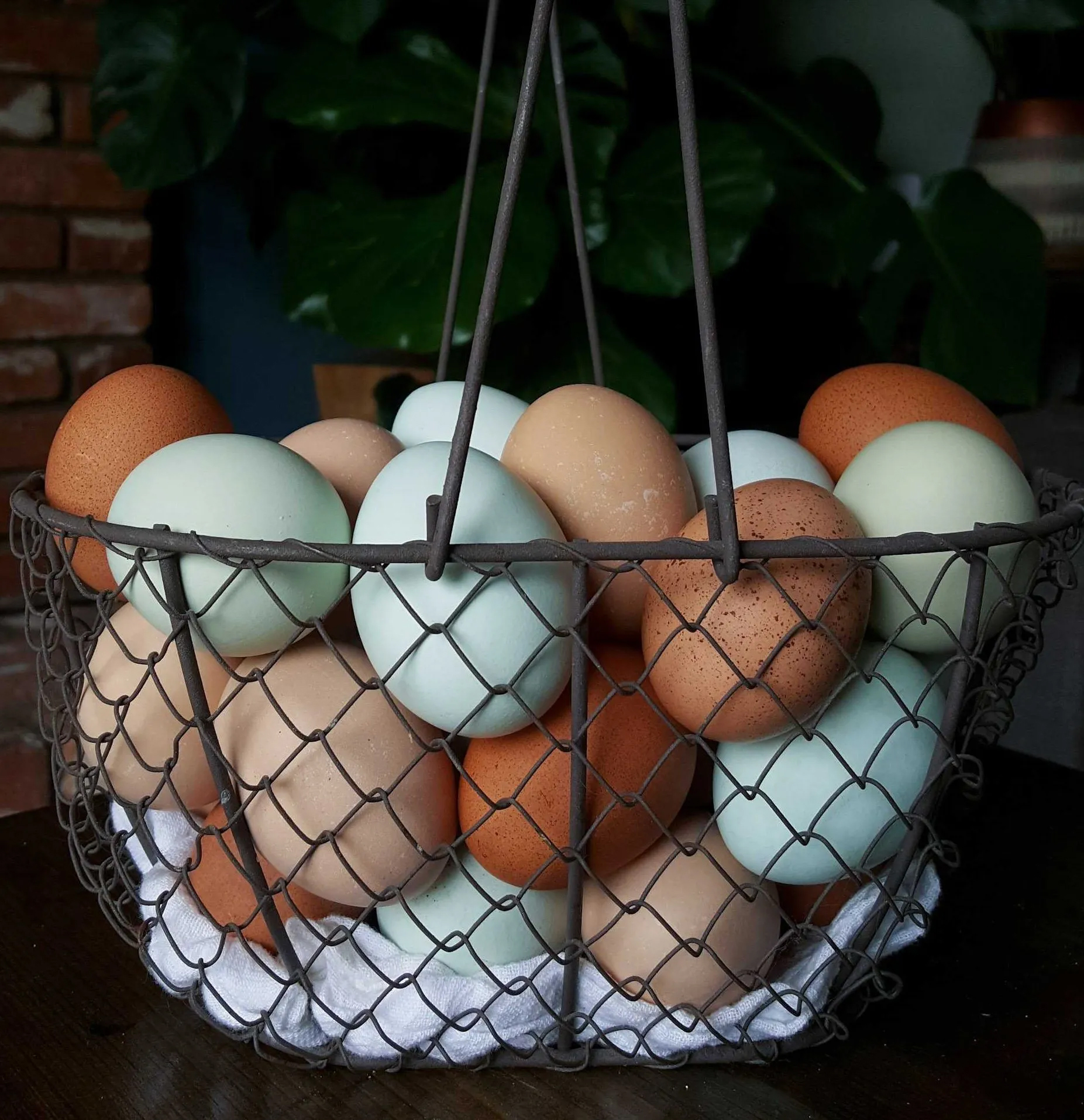 Nếu trứng xuất hiện những dấu hiệu sau thì đừng dại mua vì kém tươi ngon, dễ ung hỏng - Ảnh 3.