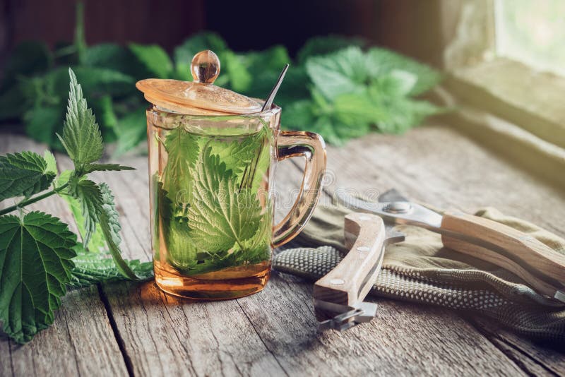 5 loại trà thảo mộc giúp đánh bay viêm mũi dị ứng theo mùa - Ảnh 1.