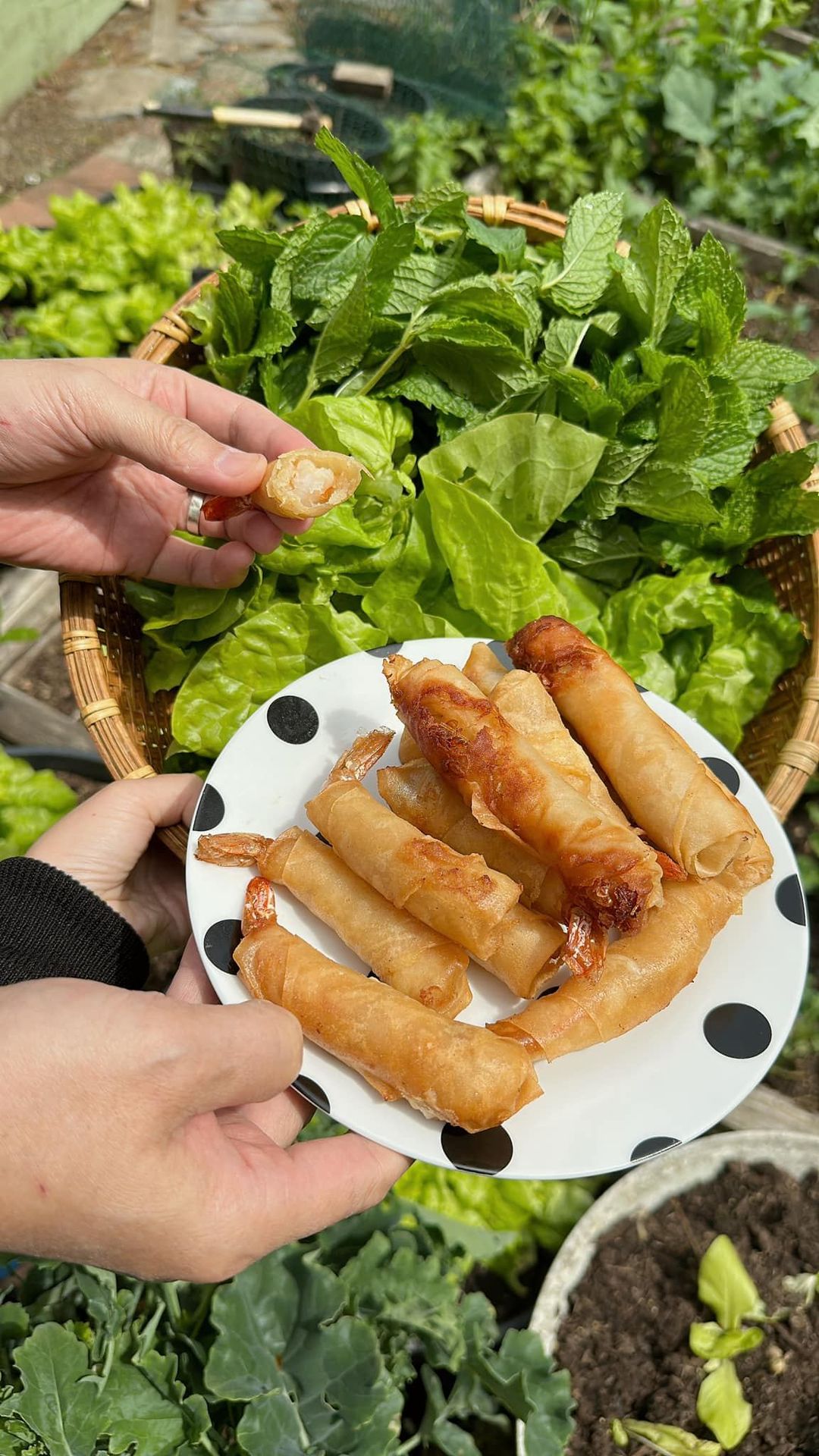 Cuộc sống của gia đình Hannah Olala ở Mỹ: Đất đai rộng thênh thang, gây bất ngờ nhất là khu vườn - Ảnh 9.