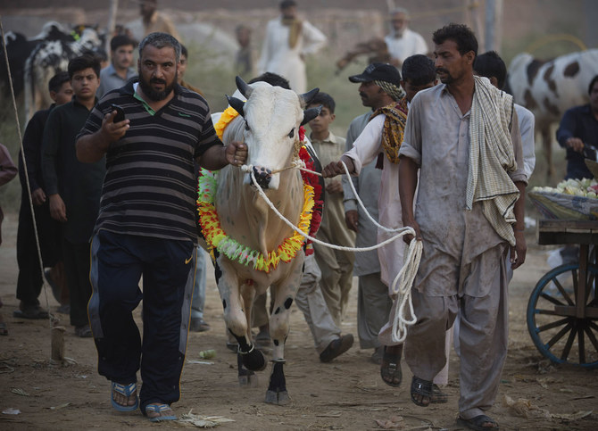 Pakistan: Khu chợ được mở để phụ nữ mua bán gia súc - Ảnh 3.