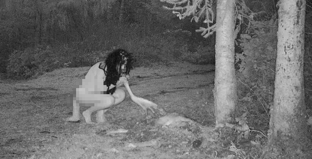 Thấy xác hươu ở trong vườn, người phụ nữ đặt camera thì chứng kiến cảnh tượng đáng sợ - Ảnh 2.