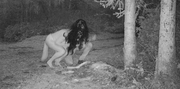 Thấy xác hươu ở trong vườn, người phụ nữ đặt camera thì chứng kiến cảnh tượng đáng sợ - Ảnh 3.
