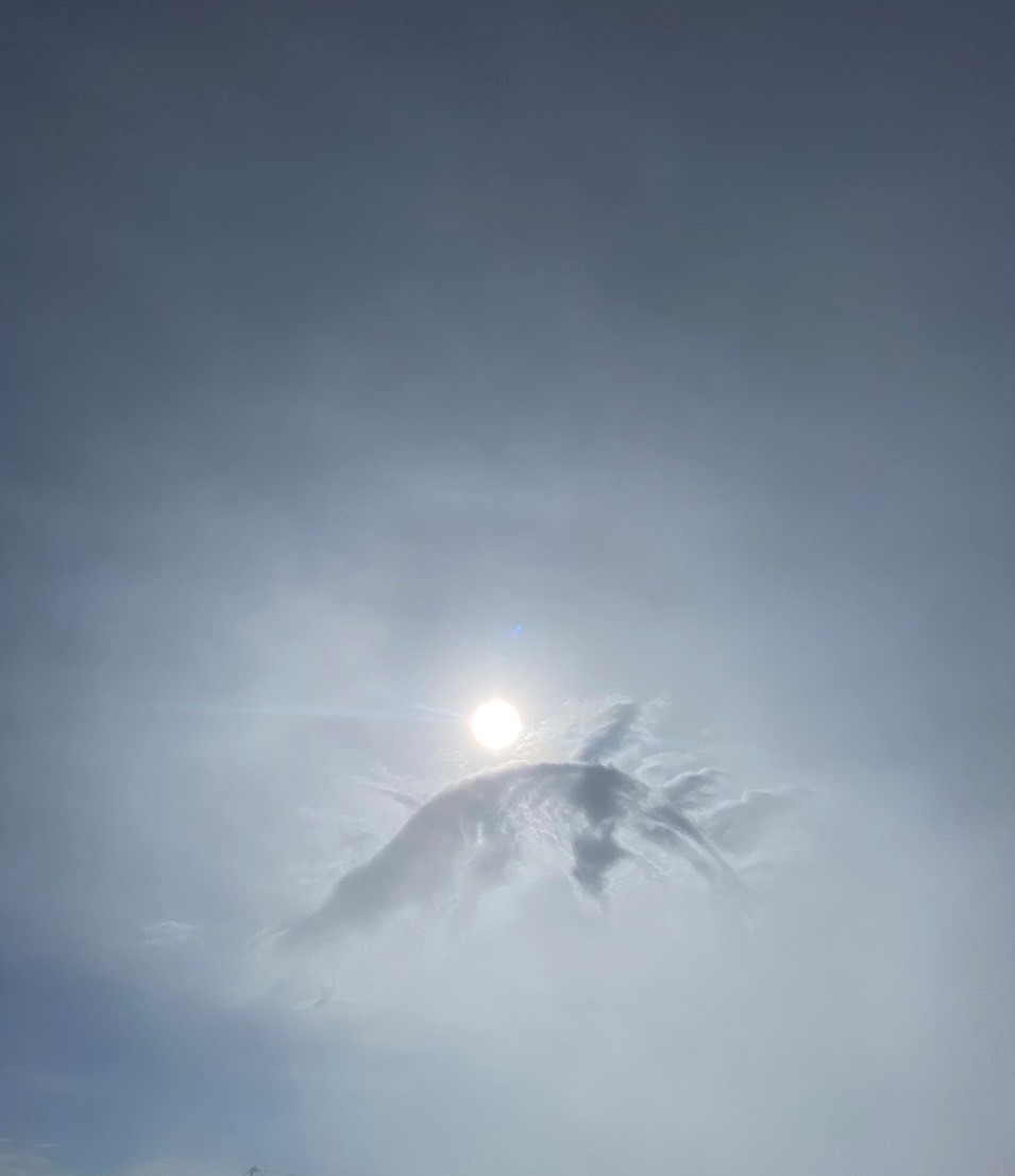 Núi Bà Đen tiếp tục gây bão vì hiện tượng mây Cá chép hóa rồng - Ảnh 2.