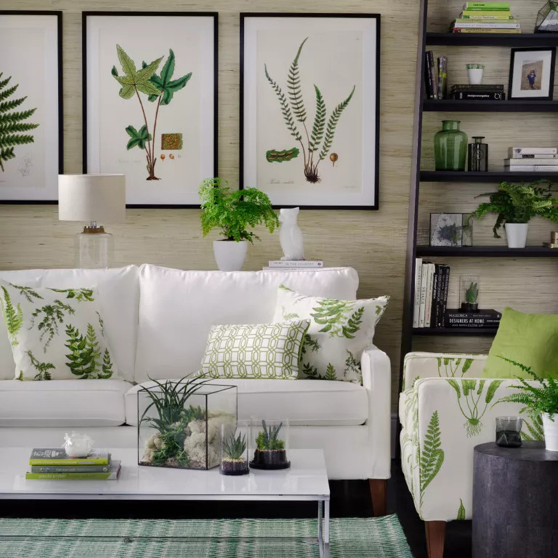 Cải thiện không gian phòng khách trong lành, tươi mát với những ý tưởng trồng cây xanh  - Ảnh 3.