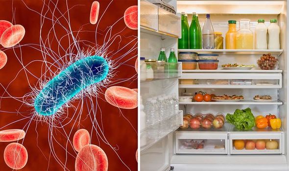 4 loại vi khuẩn nguy hiểm ưa thích môi trường tủ lạnh, nhận biết để phòng ngừa ngộ độc - Ảnh 1.