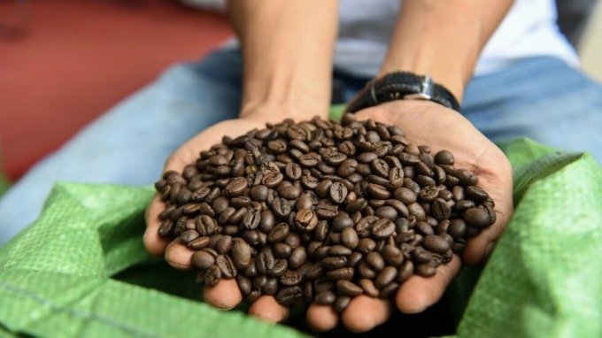 Cà phê robusta ngày càng được ưa chuộng: Lo ngại giá cả tăng vì thời tiết khắc nghiệt - Ảnh 1.