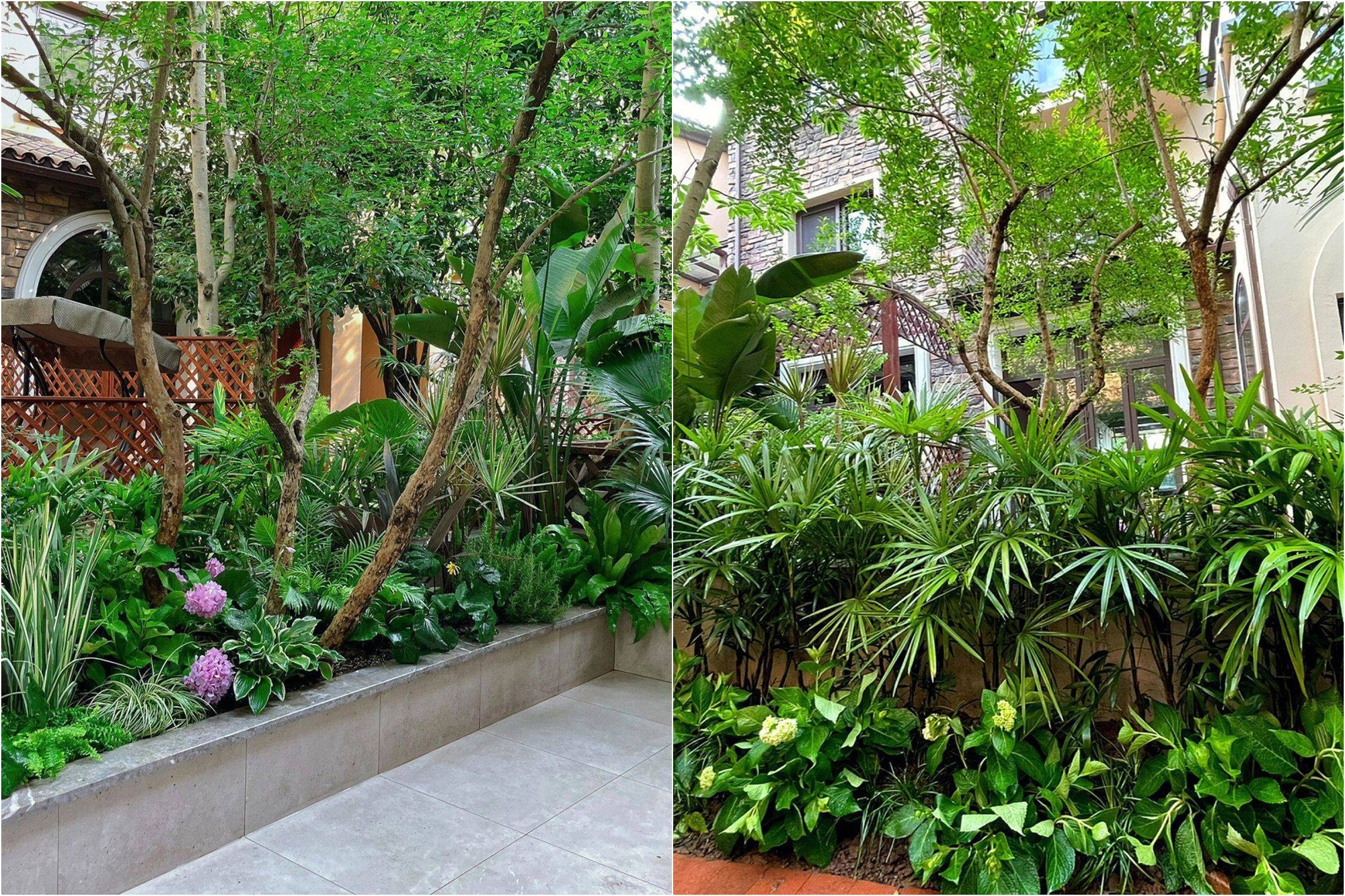 Mẹ đảm tự tay cải tạo khu vườn nhà trở nên xanh mát với chi phí siêu tiết kiệm - Ảnh 4.