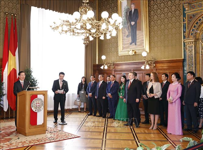 Hoạt động của Chủ tịch nước và Phu nhân trong chuyến thăm chính thức Cộng hòa Áo - Ảnh 7.