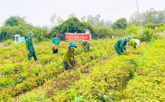 Bình Định: Giúp đỡ 16 hộ nghèo ở khu vực biên giới biển của huyện Phù Mỹ - Ảnh 2.