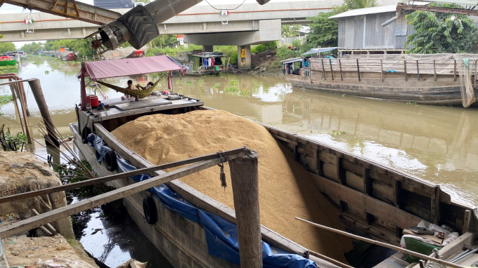 Đến cuối năm 2021, dư nợ cho vay thu mua, xay xát, chế biến lúa gạo lên đến 1.880 tỷ đồng, giúp ổn định chuỗi cung ứng lúa gạo cho vùng ĐBSCL